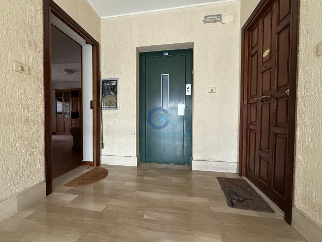 insertion image