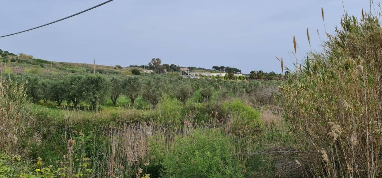 Terreno agricolo in vendita a Crotone