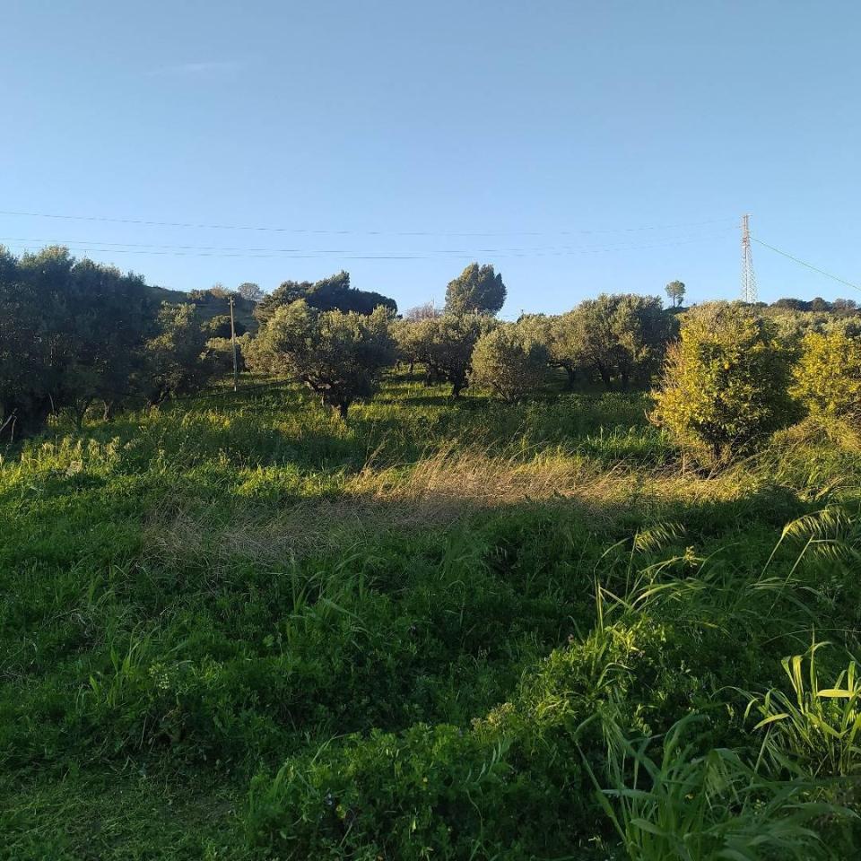 immagine annuncio 11 di 12