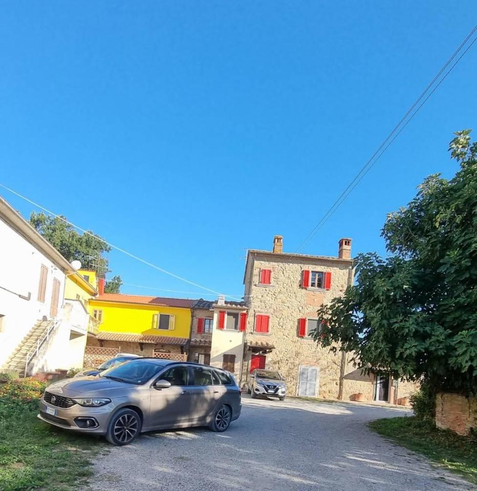 immagine annuncio 12 di 14
