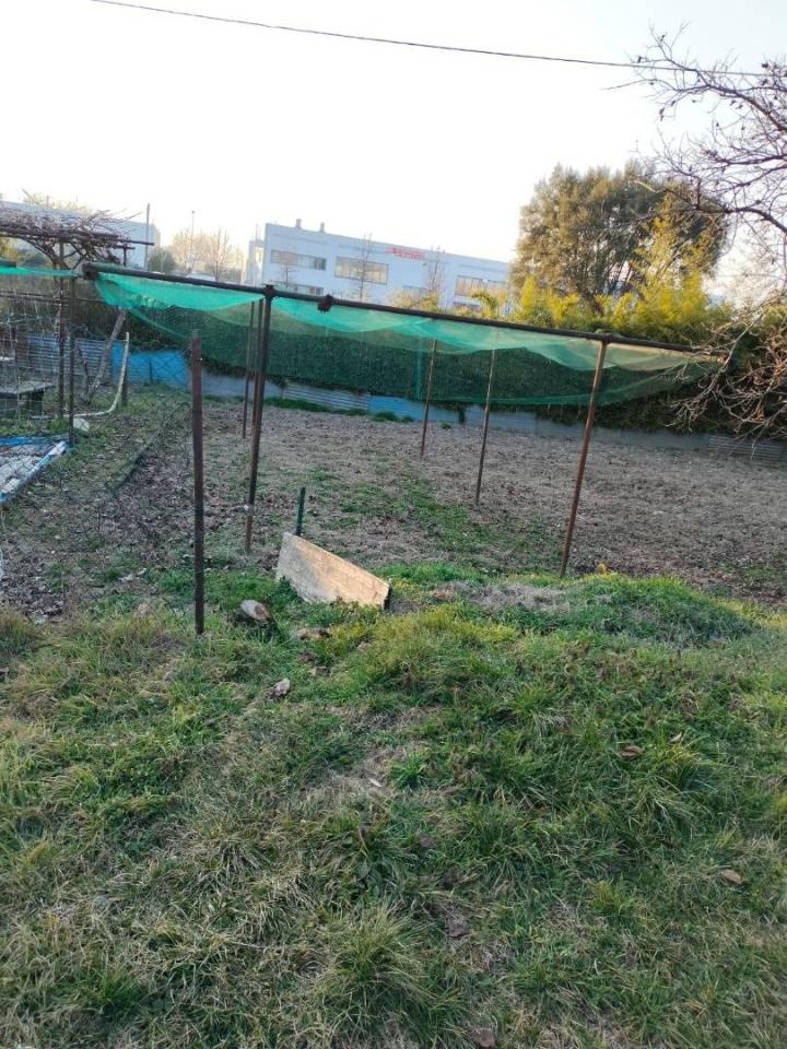 immagine annuncio 3 di 4