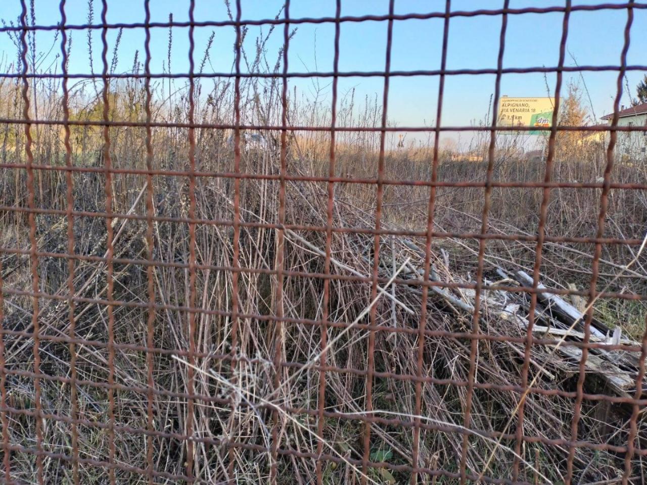 immagine annuncio 2 di 4