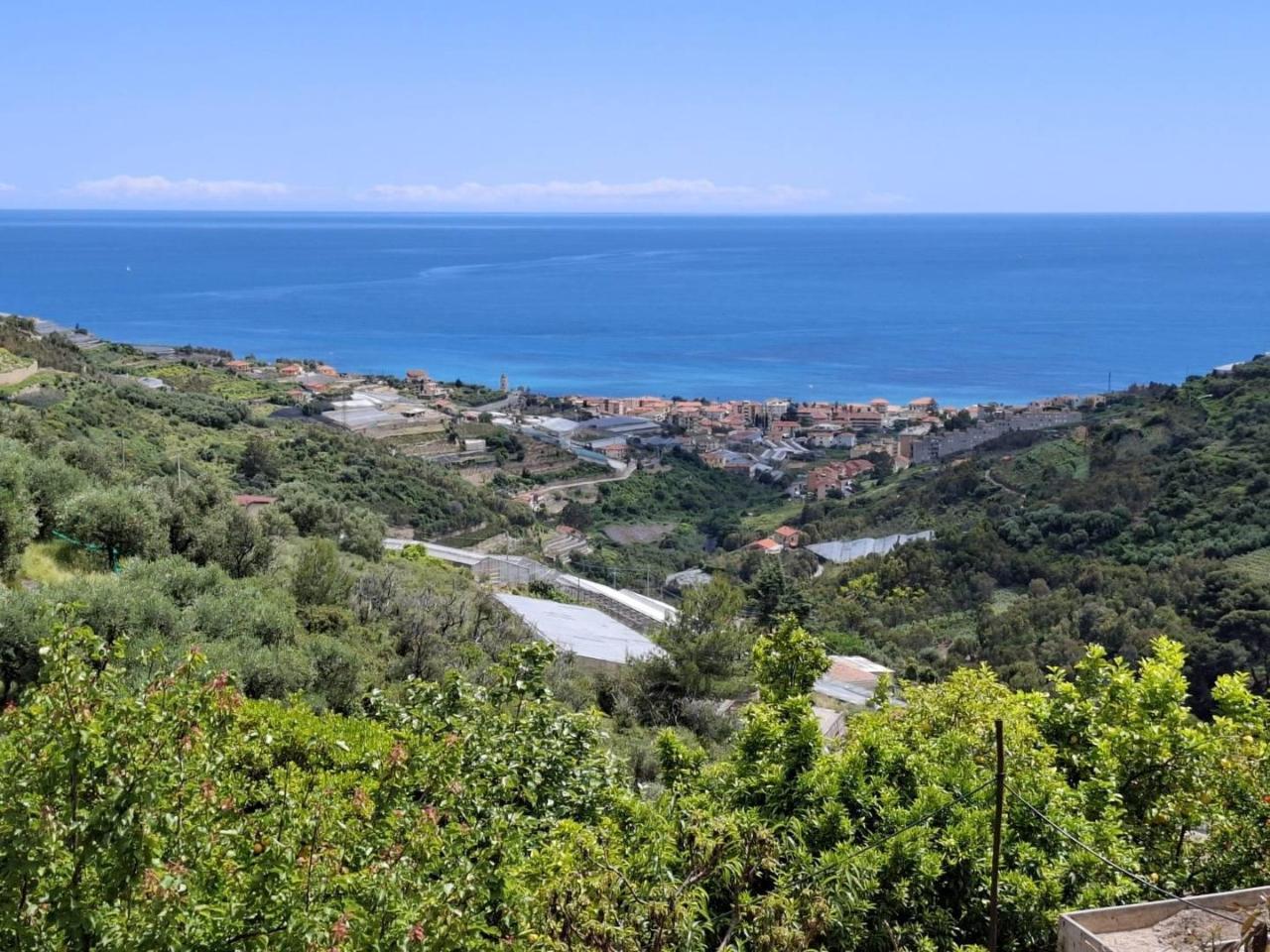 immagine annuncio 1 di 2