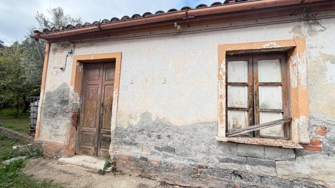 immagine annuncio 7 di 9