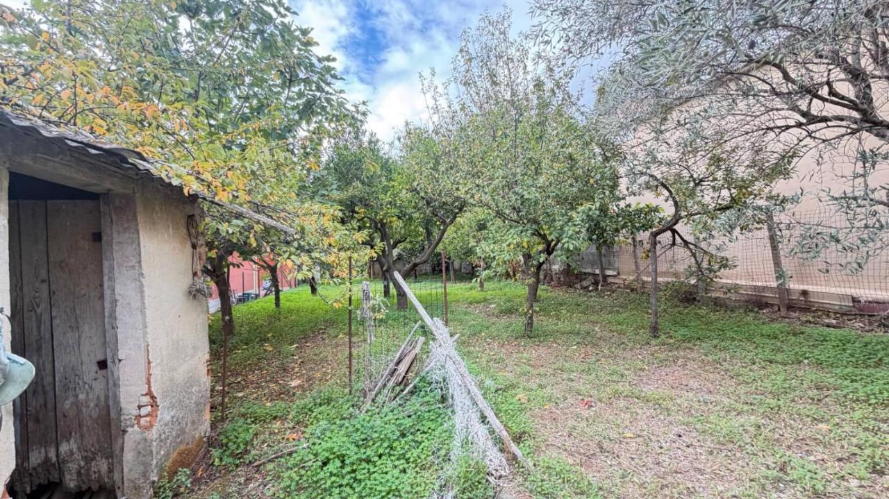 immagine annuncio 2 di 9