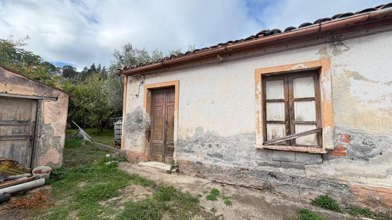 immagine annuncio 3 di 9