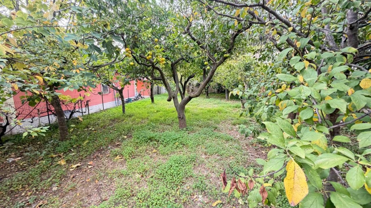 immagine annuncio 6 di 9