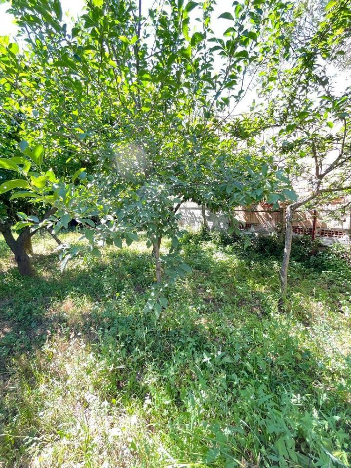 immagine annuncio 5 di 9