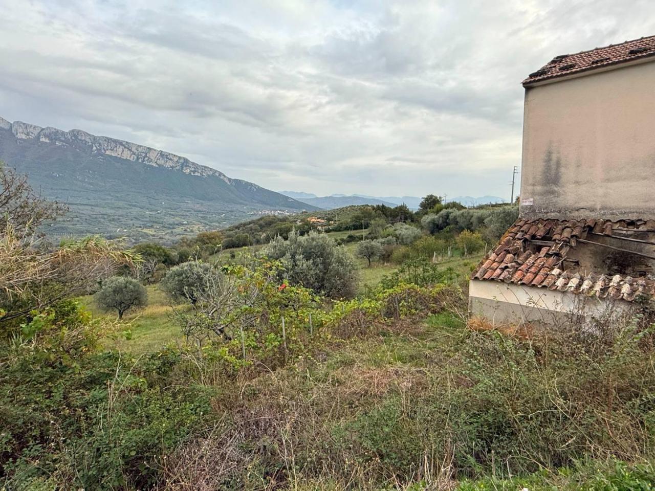 immagine annuncio 8 di 13