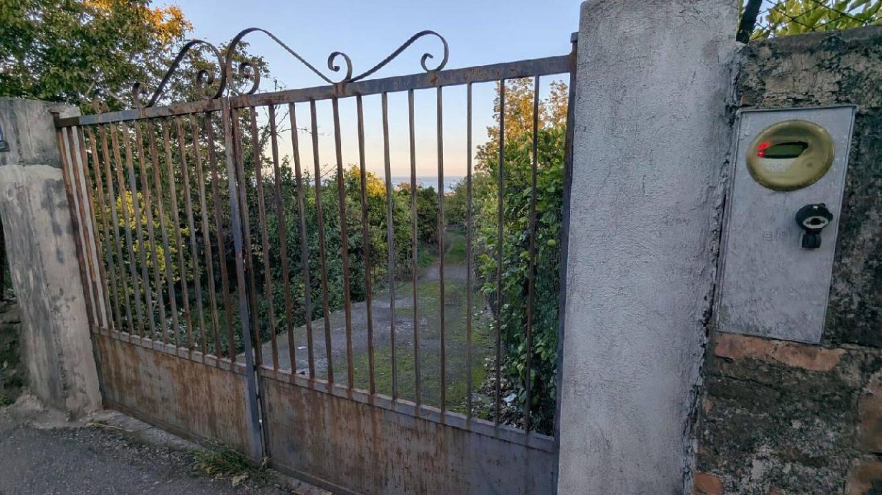 immagine annuncio 8 di 14