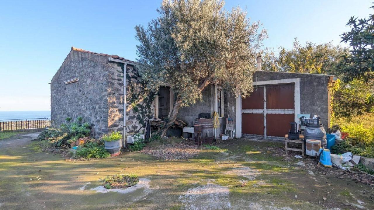 immagine annuncio 10 di 14