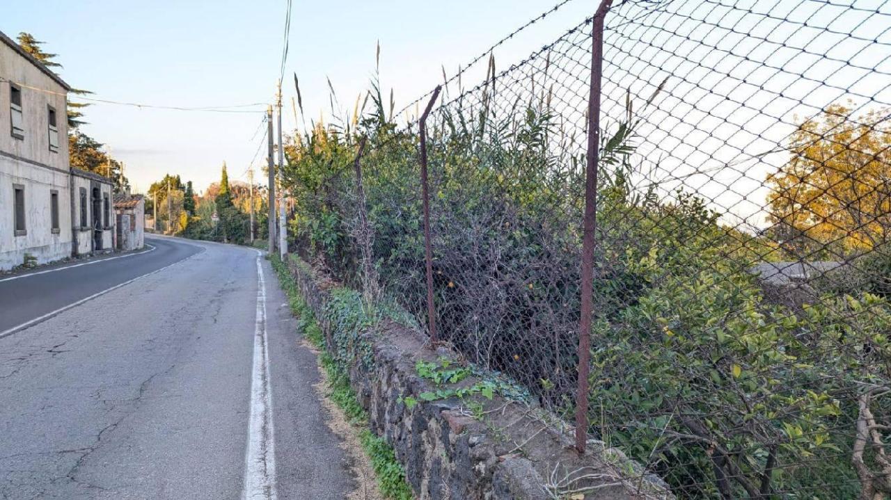 immagine annuncio 12 di 14