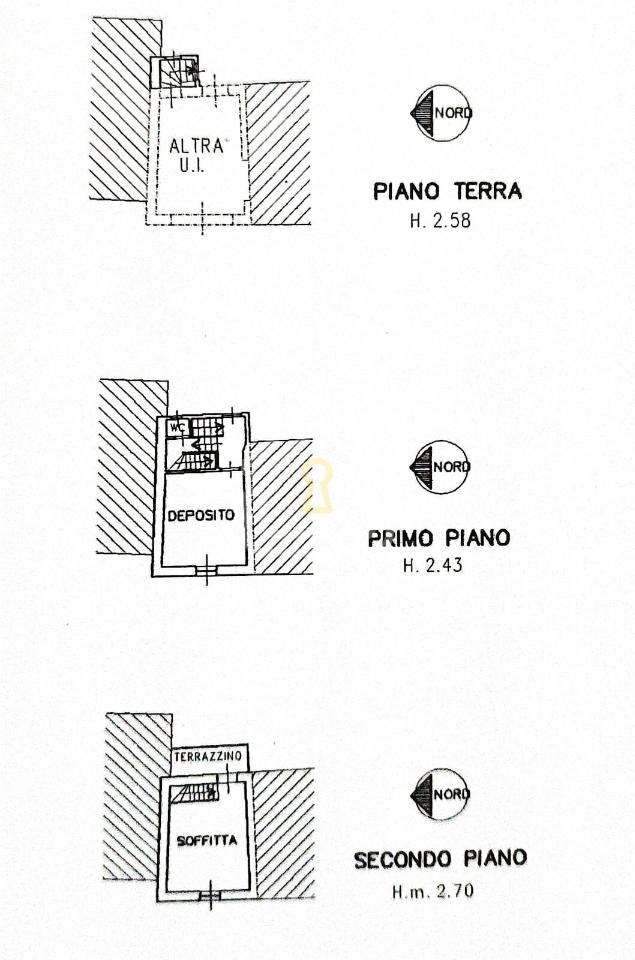 immagine annuncio 2 di 4