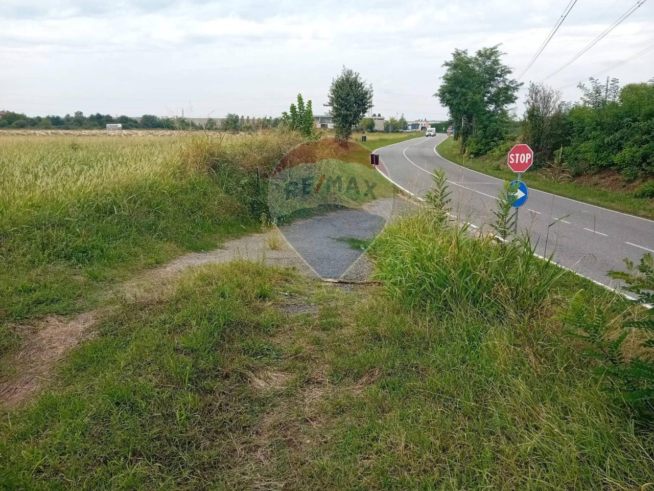 immagine annuncio 5 di 8