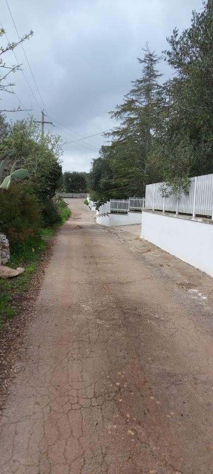 immagine annuncio 6 di 8