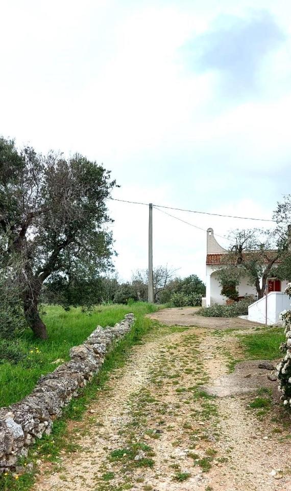 immagine annuncio 4 di 8