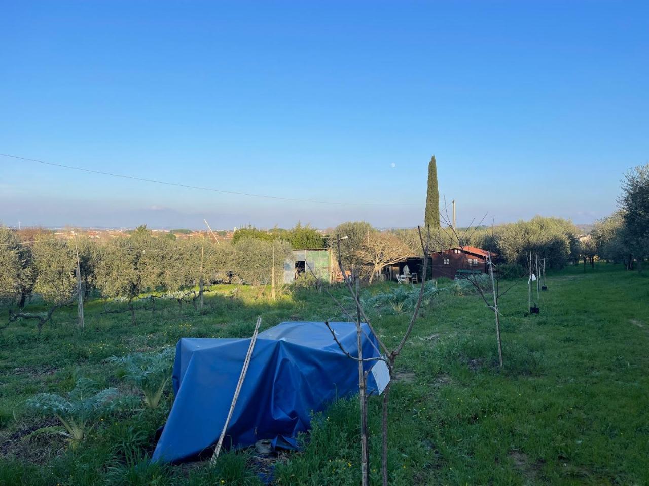 immagine annuncio 5 di 9