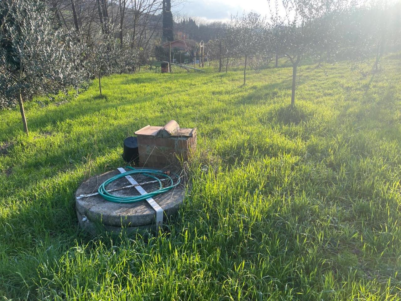 immagine annuncio 1 di 6