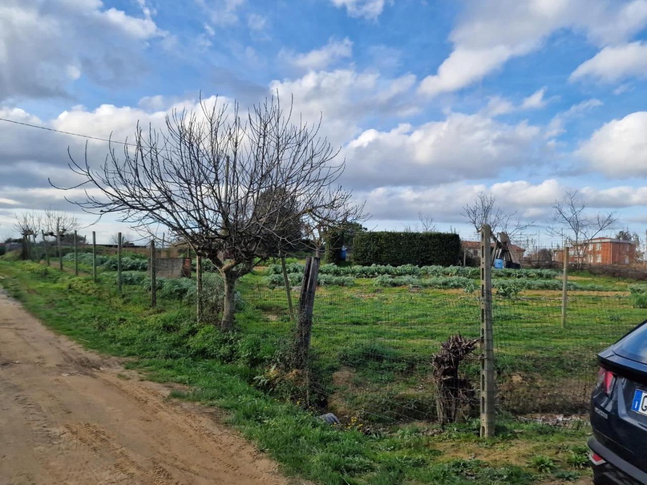 Terreno agricolo in vendita a Crespina Lorenzana