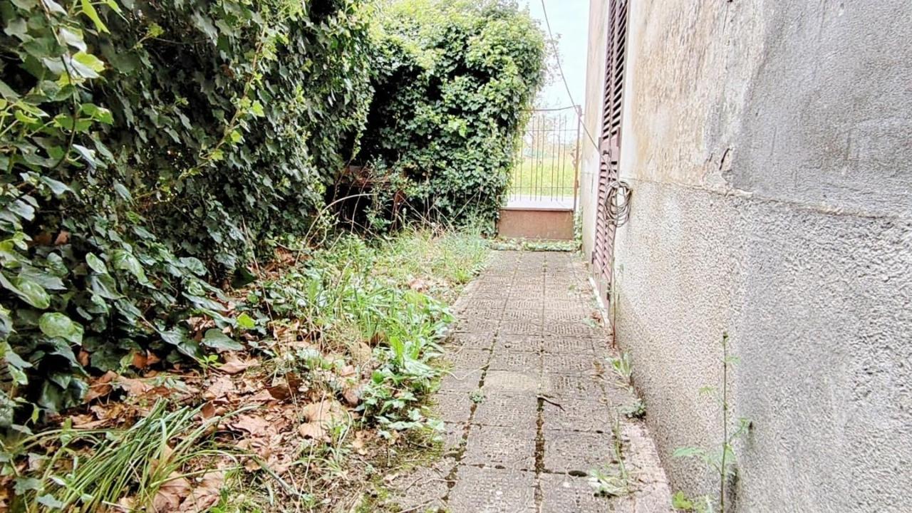immagine annuncio 6 di 12
