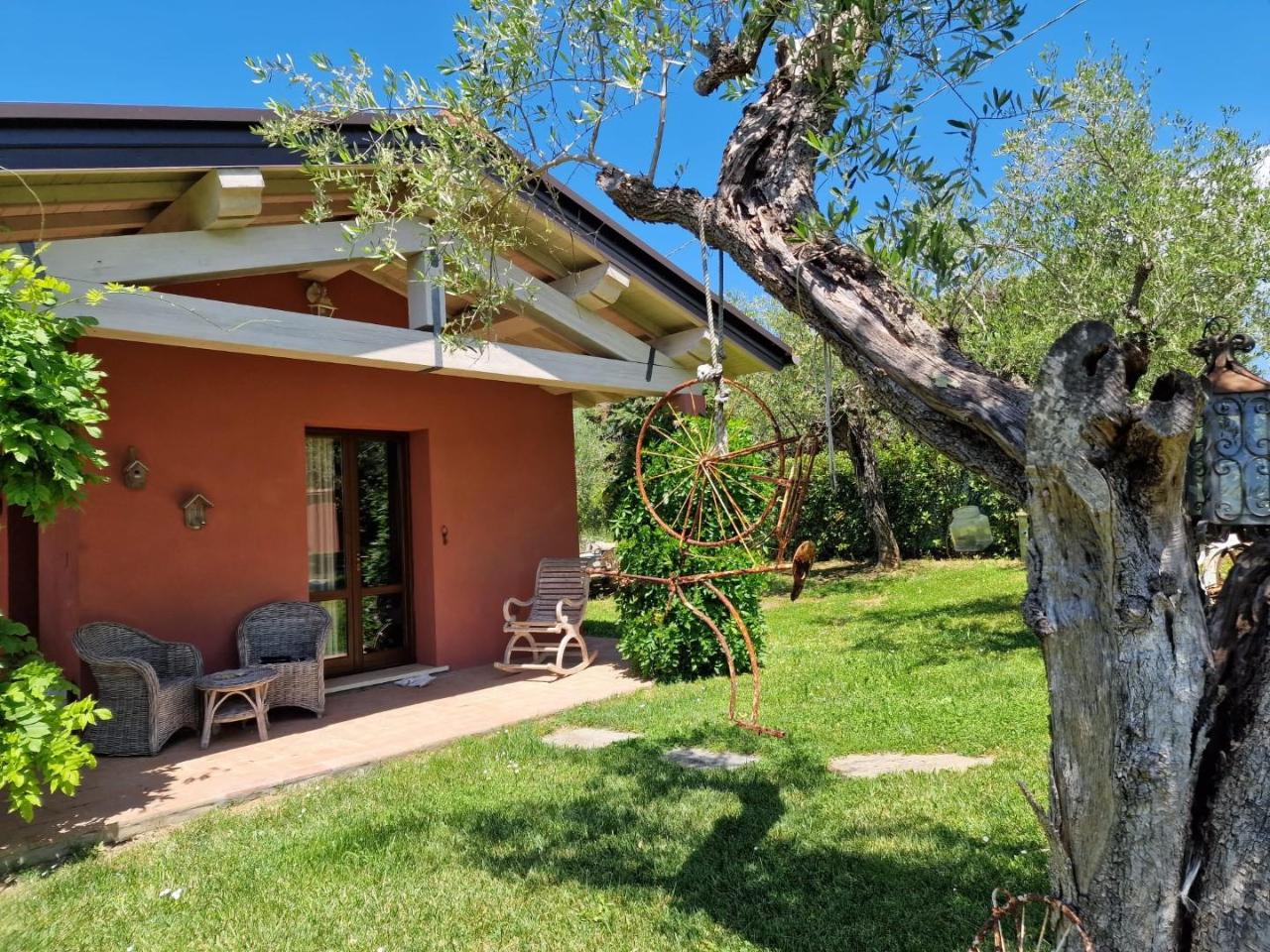 immagine annuncio 2 di 15