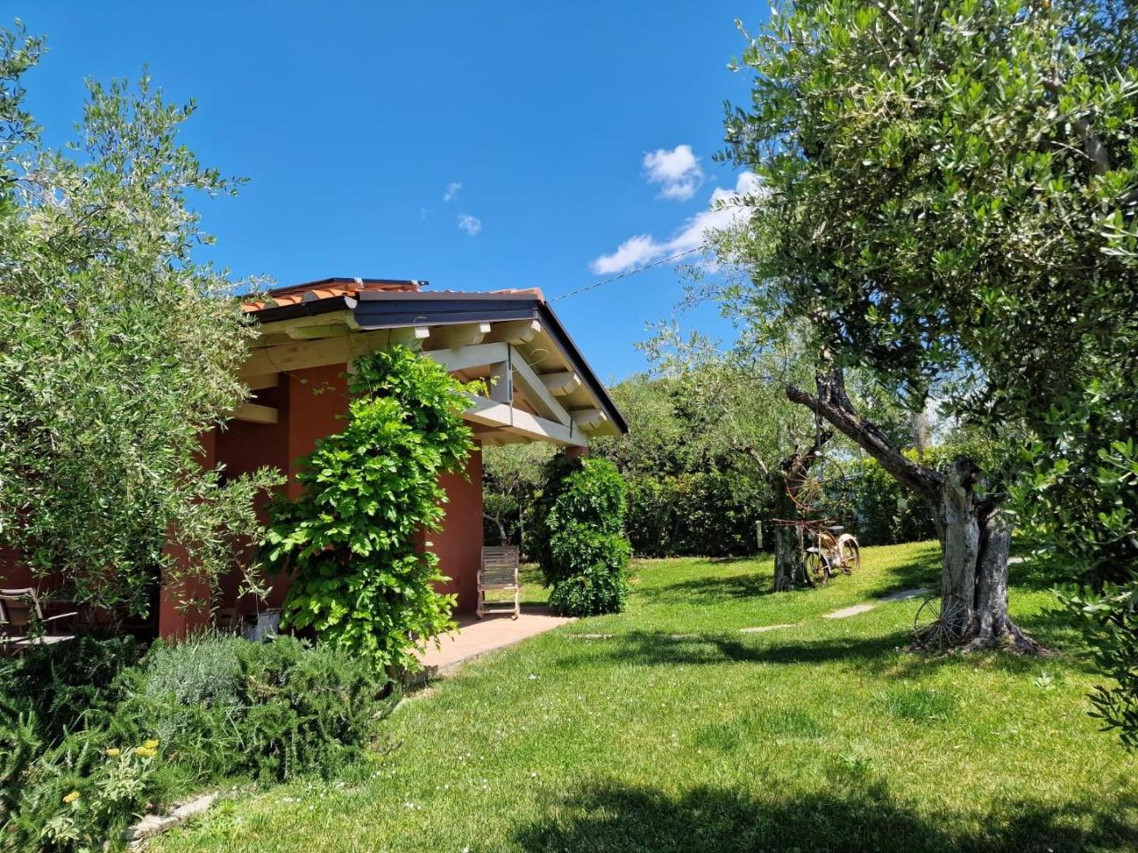 immagine annuncio 5 di 15