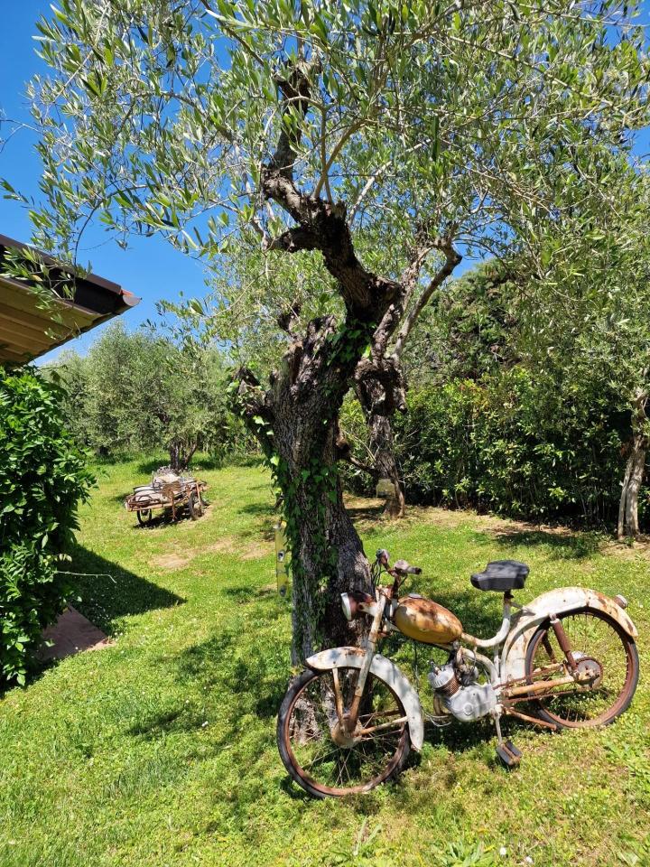 immagine annuncio 10 di 15