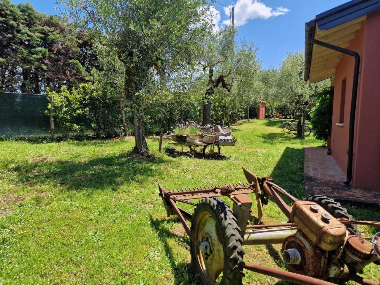 immagine annuncio 12 di 15