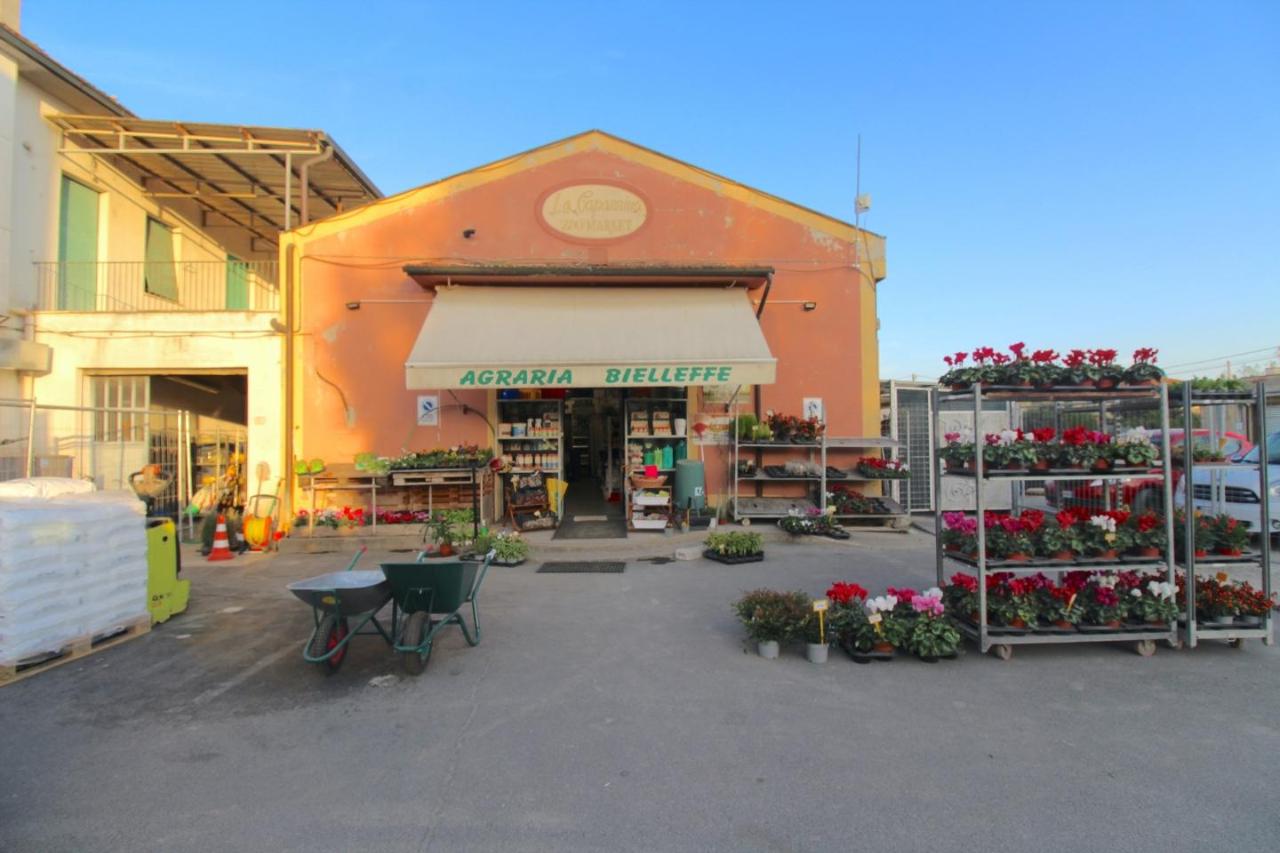 Negozio in , Casciana Terme Lari, {3} - Foto 1