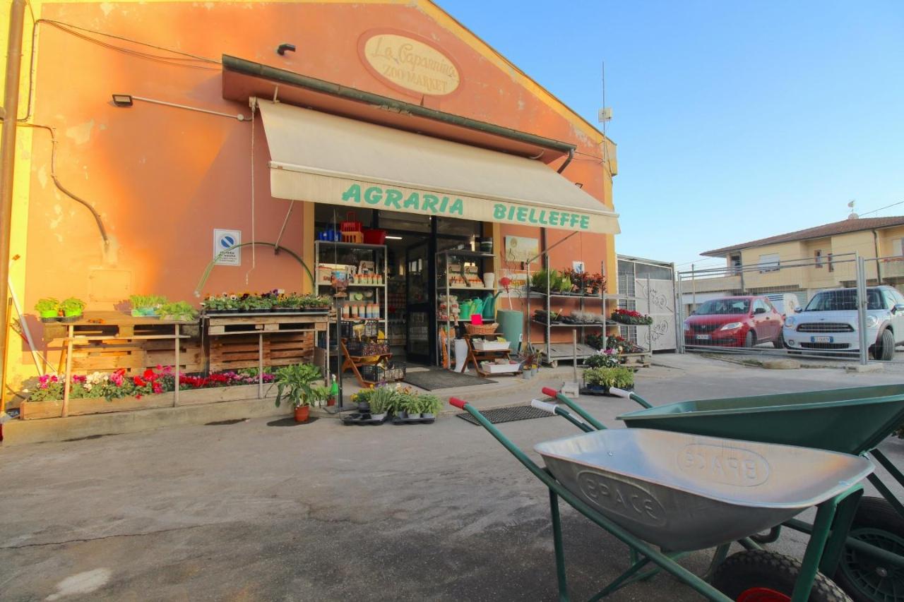 Negozio in , Casciana Terme Lari, {3} - Foto 2