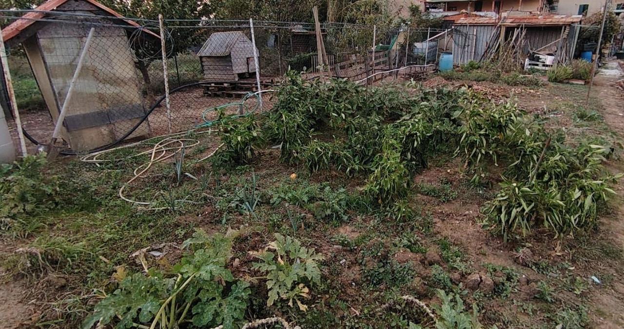 immagine annuncio 12 di 13