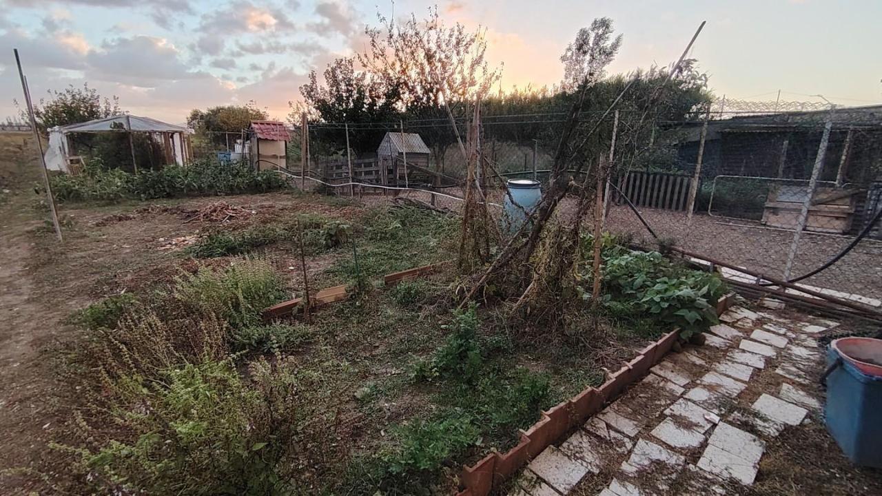 immagine annuncio 11 di 13