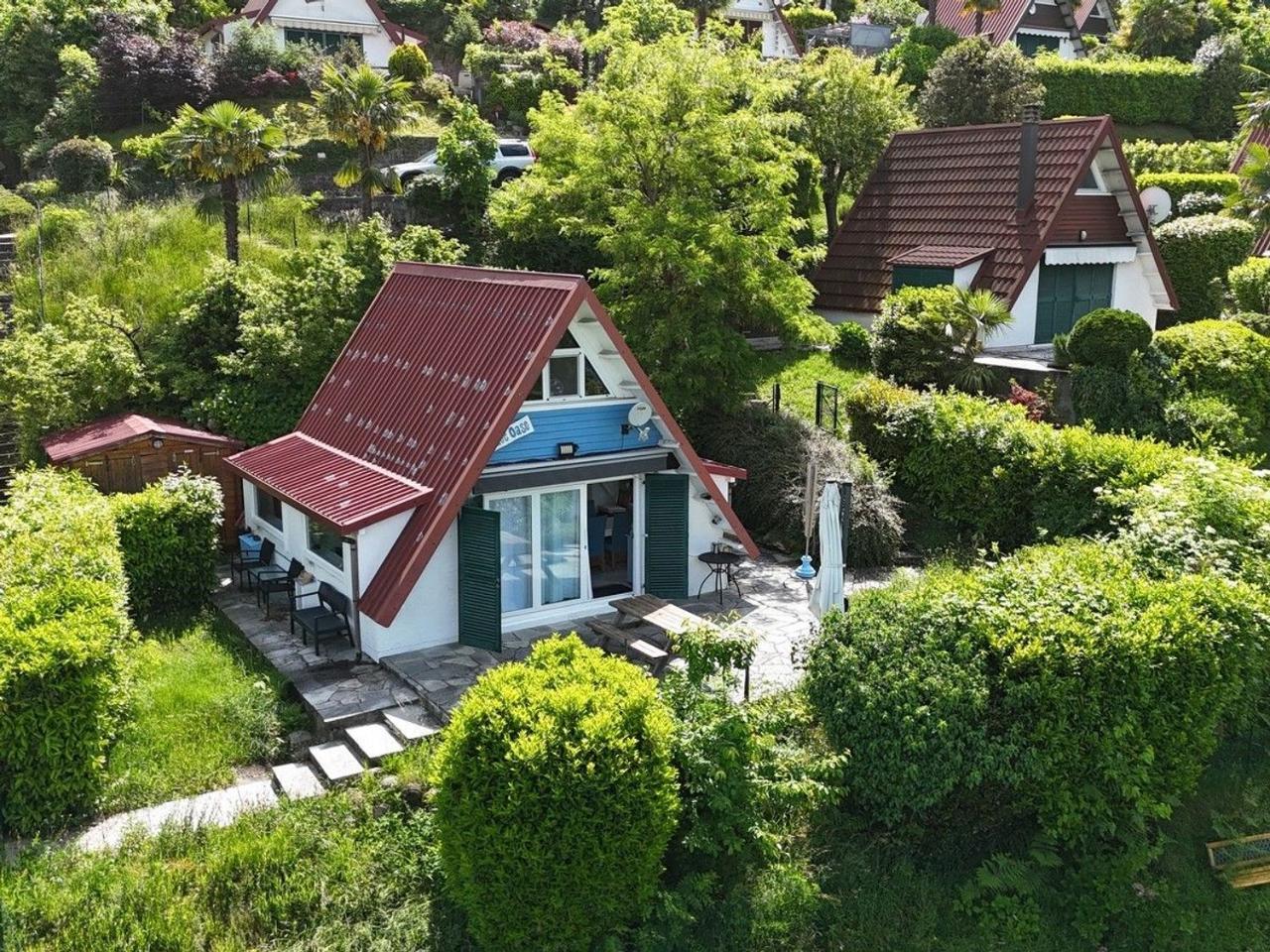 immagine annuncio 4 di 15