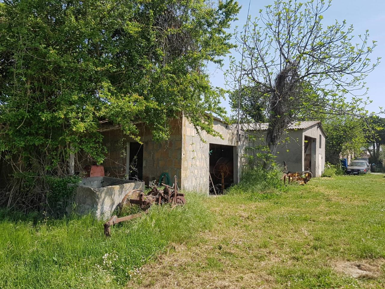 immagine annuncio 10 di 11