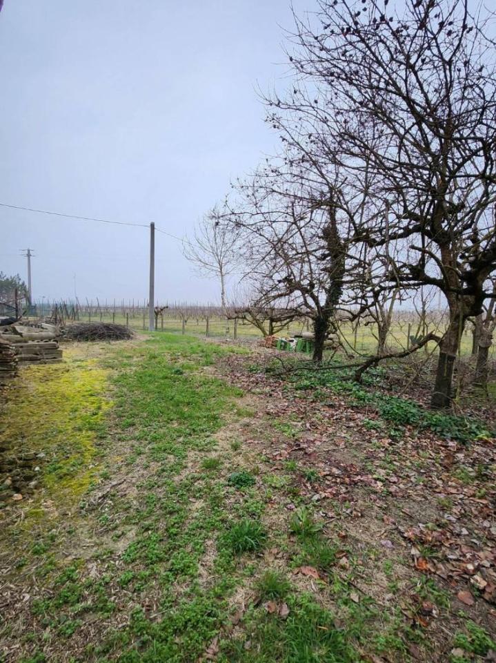 immagine annuncio 6 di 9