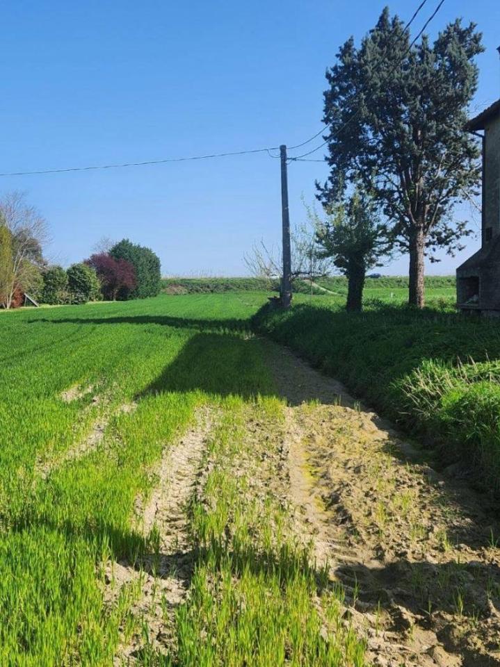 immagine annuncio 5 di 14