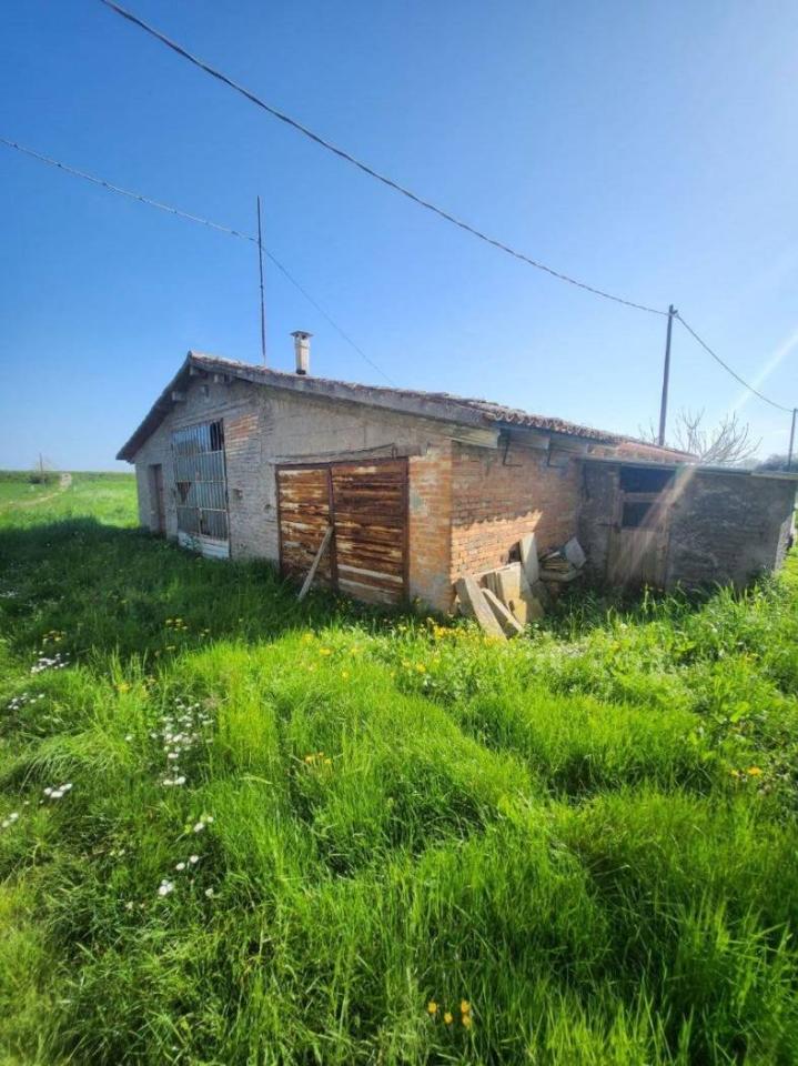 immagine annuncio 8 di 14