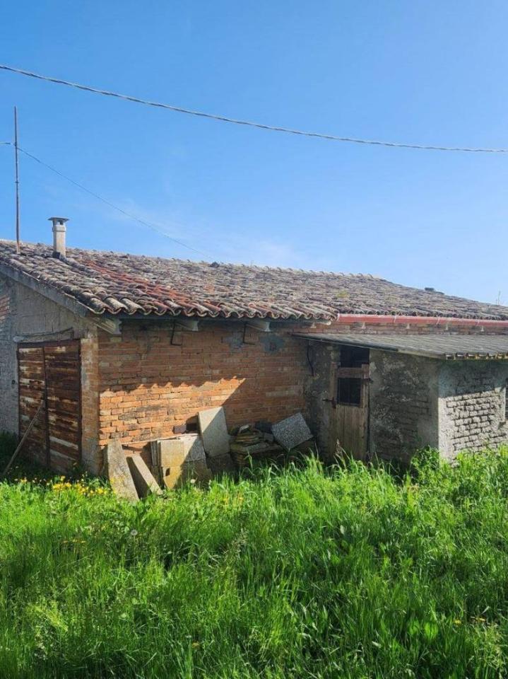 immagine annuncio 13 di 14