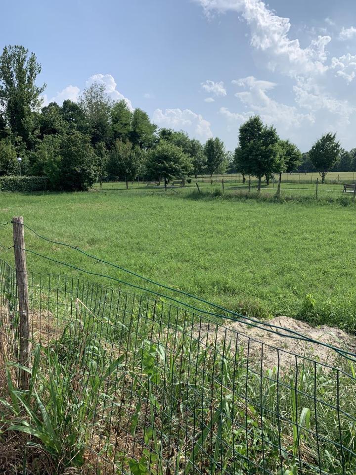 immagine annuncio 2 di 3