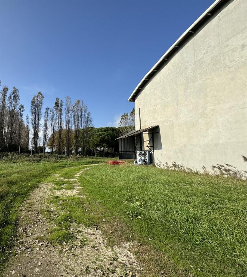 Capannone in , Ravenna, {3} - Foto 2