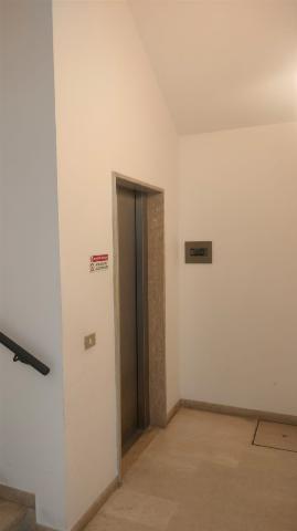 insertion image