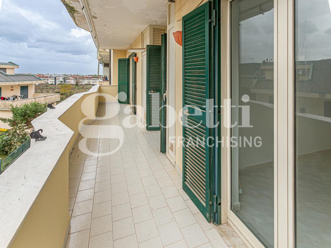 immagine annuncio 9 di 14