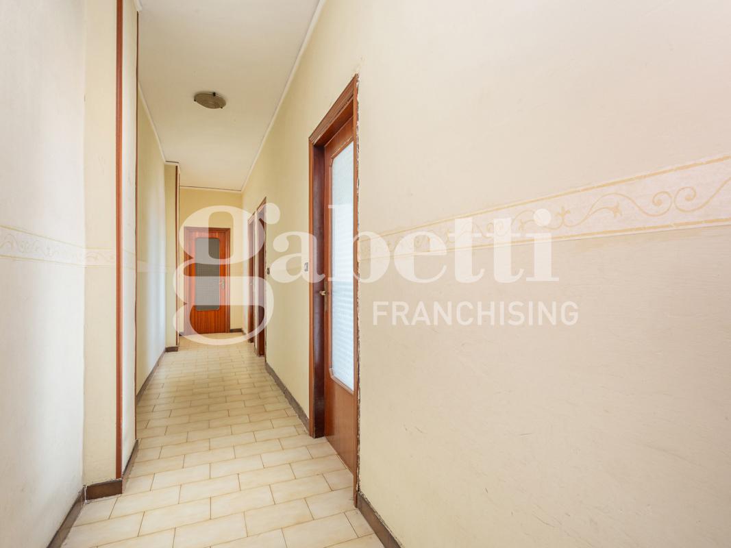 immagine annuncio 3 di 12