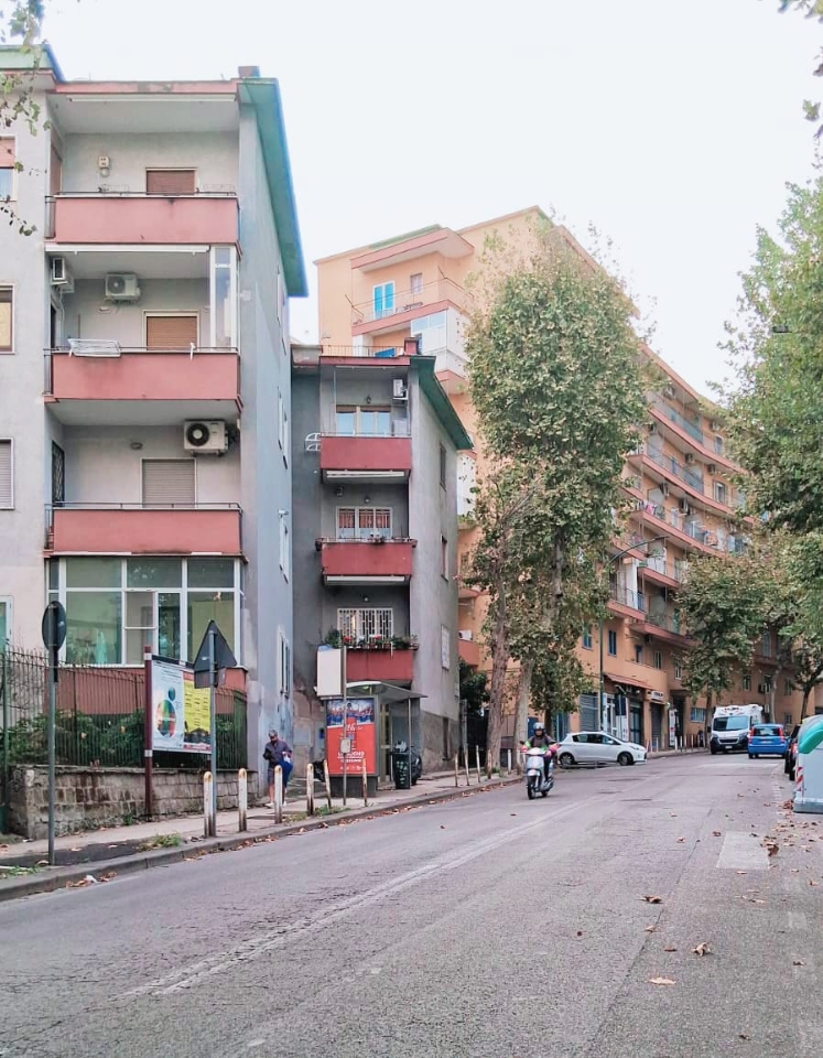 immagine annuncio 5 di 9