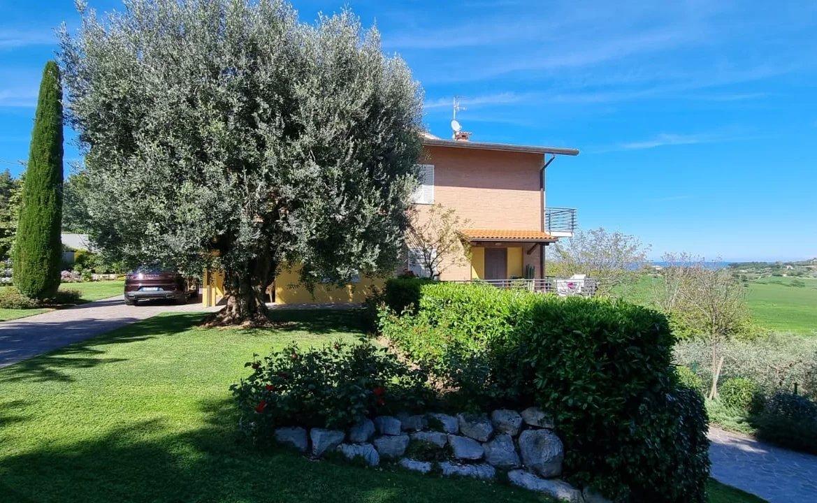 immagine annuncio 6 di 15