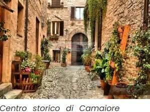 immagine annuncio 4 di 8