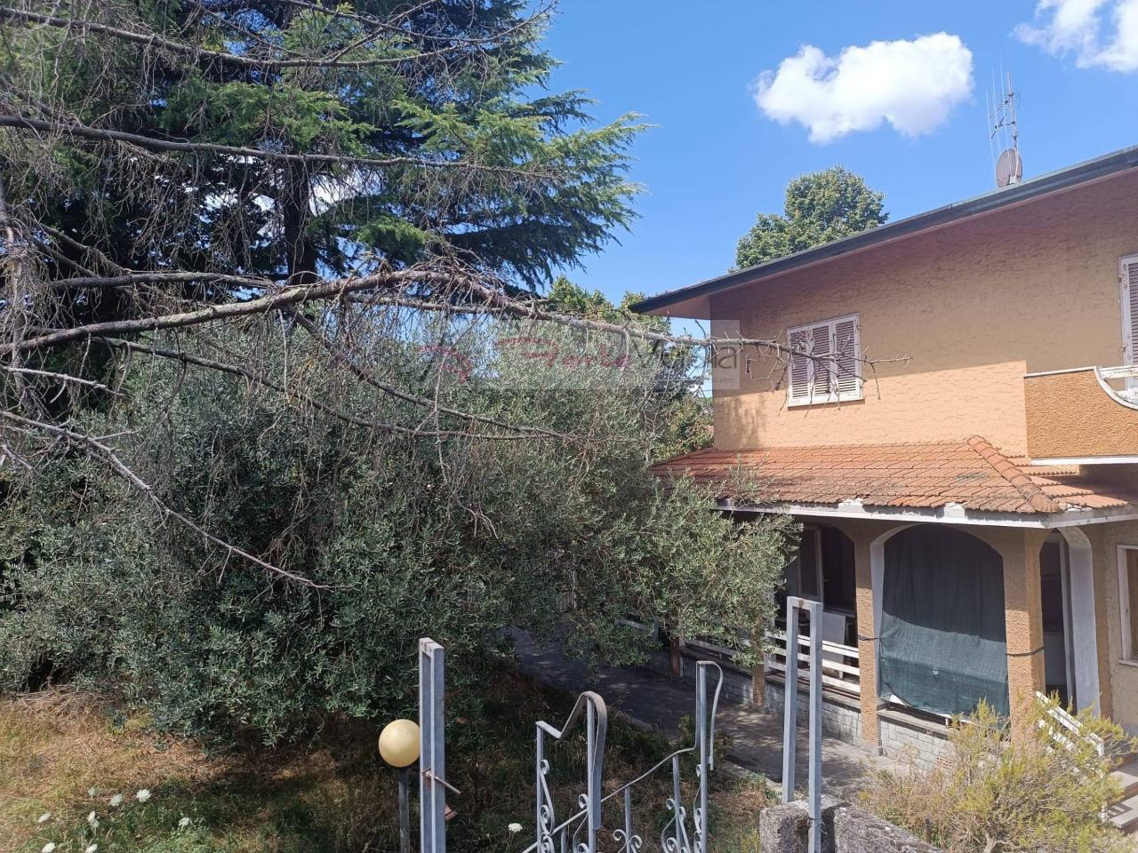 immagine annuncio 2 di 8