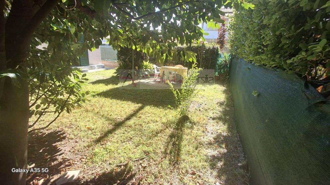 immagine annuncio 11 di 14