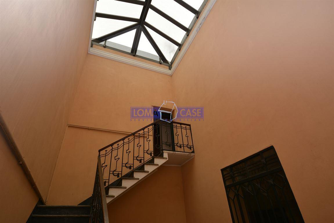 immagine annuncio 12 di 14