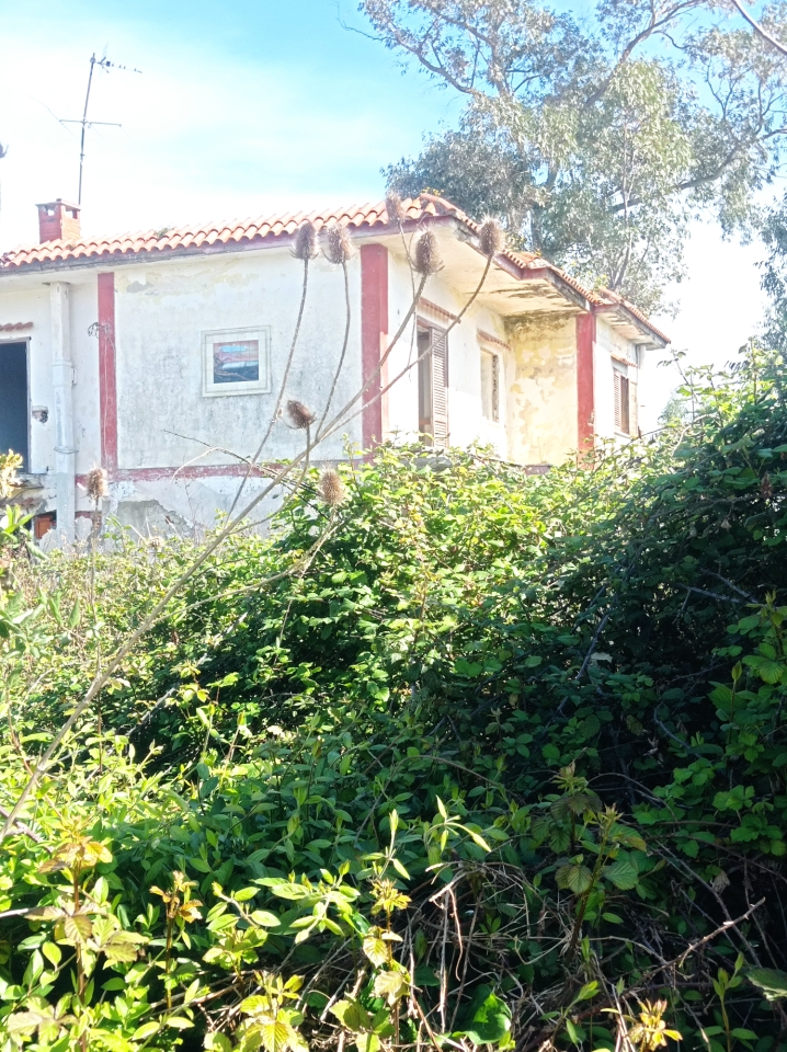 immagine annuncio 2 di 11